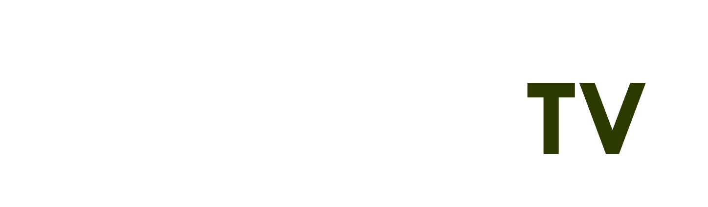 dưj báo thời tiết